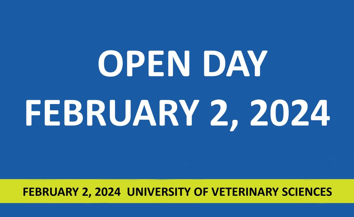 Open Day 2024